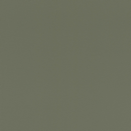 Rasch African Queen III behang Graceful Thick Skin 752687