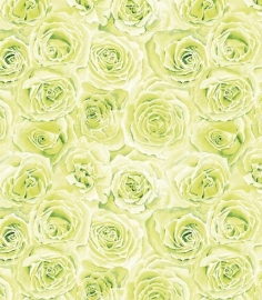 Bloemen rozen Vlies behang groen 6440 -03 Juvita