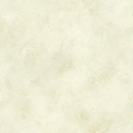 Beton behang beige 417074