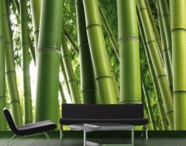 Mantiburi Fotobehang Paradise of Bamboo 1