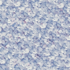 Hortensia Behang Blauw L119-01