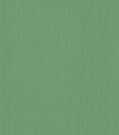 Groen jungle behang 605969