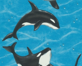 AS Creation Faro 4 - orka dieren behang 30053-2