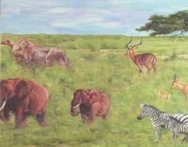 7699-16 behangrand safari jungle wilde dieren dubbelbreed x78