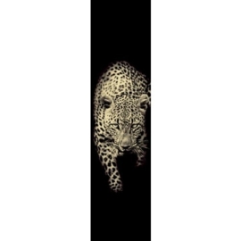 behang Roberto Cavalli luipaard rc 12067