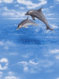 Vissen dolfijn behang rasch 813401
