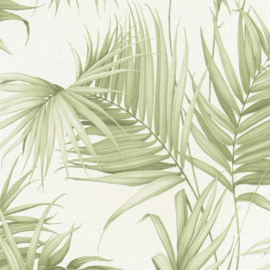 Behang tropical exotisch palm bladeren 36505-1