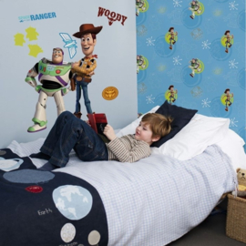 TOY STORY BEHANG SKU DF02497