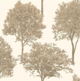 bomen bos natuur behang xx5