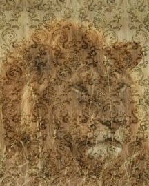 3D behang tijger KUNST ROBERTO CAVALLI RC 12069