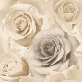 roses rozen 3d romantisch modern trendy behang xx56
