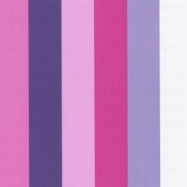 meisjes paars roze streepjes behang