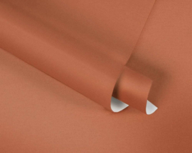 MAT EFFEN BEHANG | Basic - oranje - A.S. Création MICHALSKY 37986-8