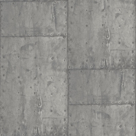 Dutch Exposed behang PE04048 Beton