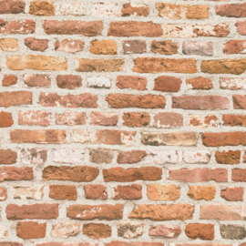 bruin Steen Behang 3d 38829-1