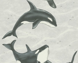 AS Creation Faro 4 - orka dieren behang 30053-1