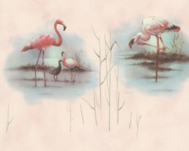 dieren vogel flamingo behang 6791-16