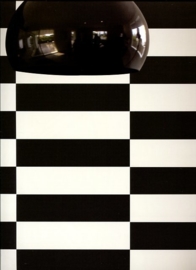 behang zwart wit streep breed horizontaal glitter Roberto cavalli 12049
