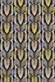 Roberto Cavalli Home № 8 Digital Panel New Cavalli RC 19122