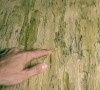 Dutch Wallcoverings Bluff J271-04 Groene schors behang
