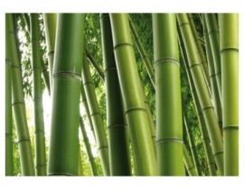 Mantiburi Fotobehang Paradise of Bamboo 1