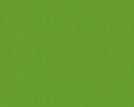 Living Walls Werner Aisslinger effe uni groen behang 95584-7