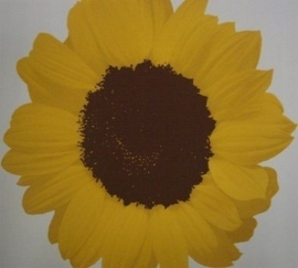 vlies zonnebloemen behang xx0138