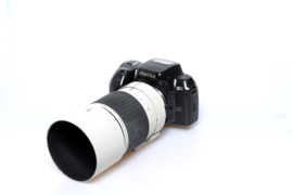 Pentax Z1 + Sigma 8.0 / 600 mm spiegellens