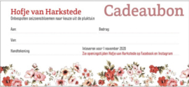 Cadeaubon plukbloemen