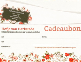 Cadeaubon pluktuin