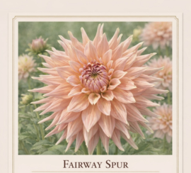 FAIRWAY SPUR