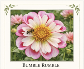 BUMBLE RUMBLE