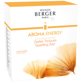 Mist Diffuser Aroma Energy