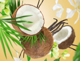 Coconut Monoï 500 ml (Coconut Monoi )
