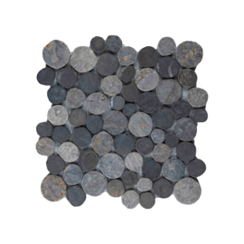 Coin/munten  monster