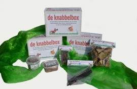 Knabbelbox klein