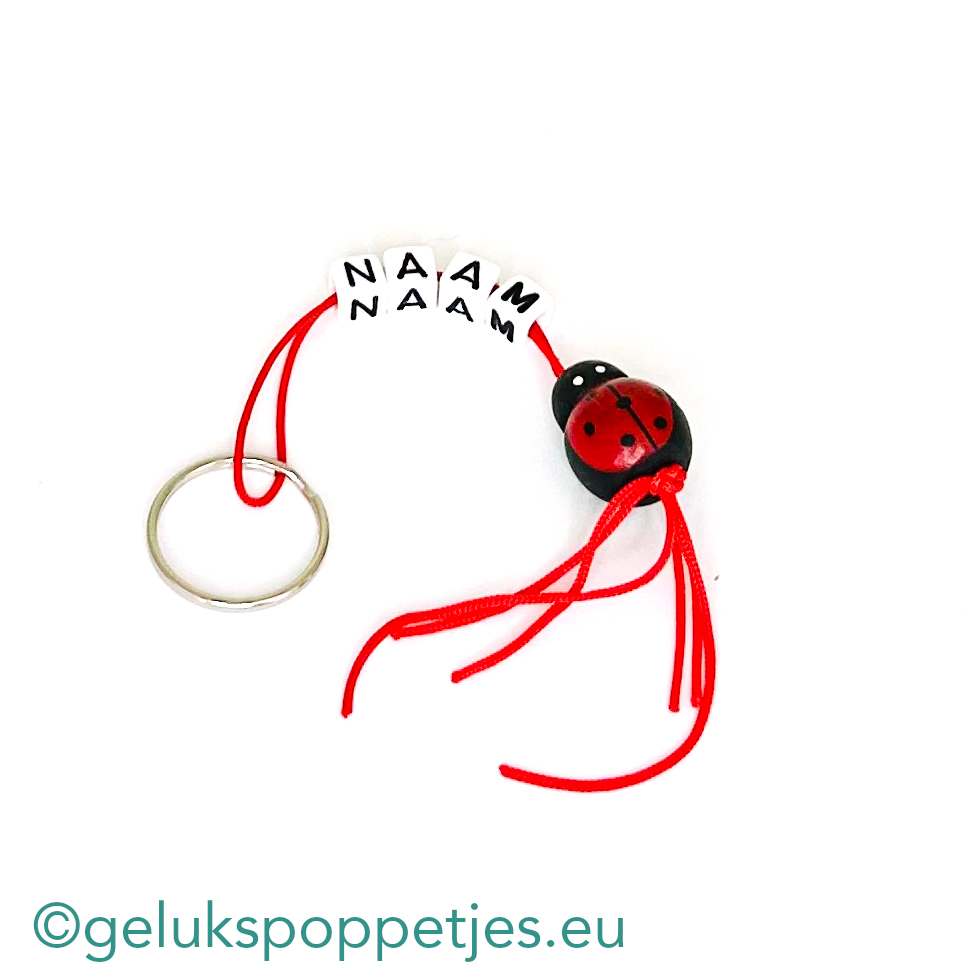 Naam sleutelhanger met lieveheersbeestje gelukspoppetje
