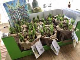 Cadeautjes voor TOPPERS