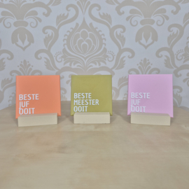 3D Geprint Tegeltje “Beste Juf / Meester Ooit” – Origineel Cadeau voor Leerkrachten