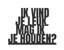 "Ik vind je leuk. Mag ik je houden?" – 3D geprinte quote – minimalistische decoratie