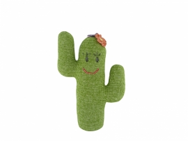 haakpatroon cactus (Joekedoe)