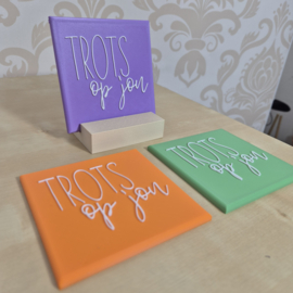 3D geprinte tegeltjes met tekst – keuze uit kleuren & houder