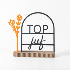 Quote in boog – “Top juf”