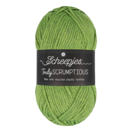 Scheepjes Truly Scrumptious - 326 Matcha Chiffon Cake