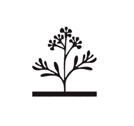 Onderdeel plant 2
