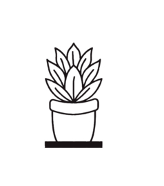 Onderdeel plant 1