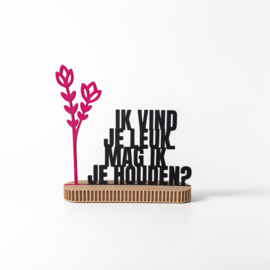 "Ik vind je leuk. Mag ik je houden?" – 3D geprinte quote – minimalistische decoratie