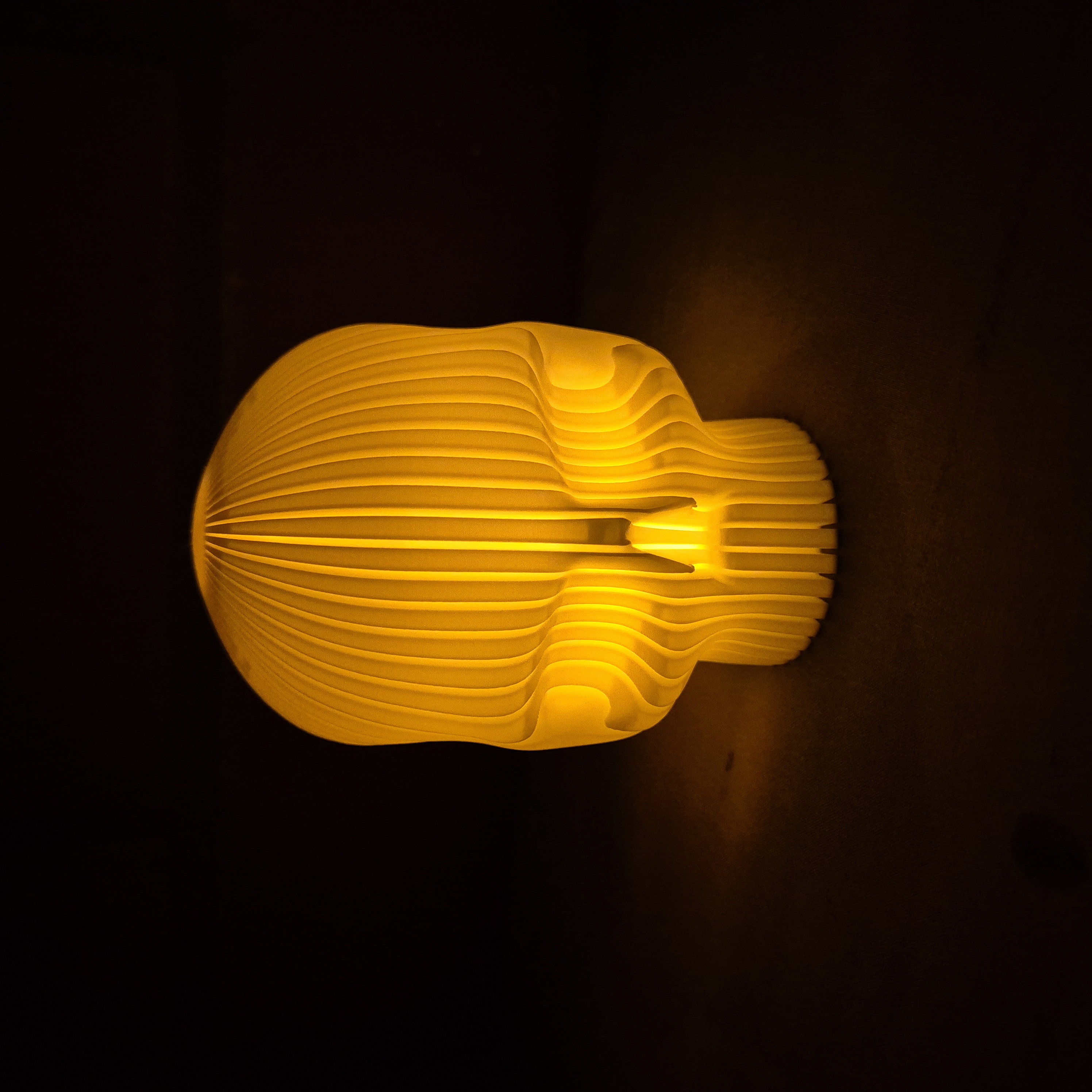 3D-geprinte Schedel – Modern Ribbelontwerp als Decoratiestuk