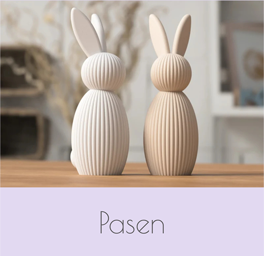 3d print Pasen