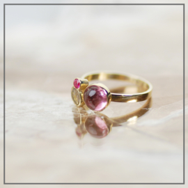 Asring Blossom in Pink Goud